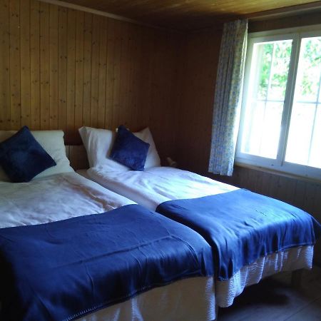 Ferien Cottage Flueehblueemli Stechelberg Zewnętrze zdjęcie