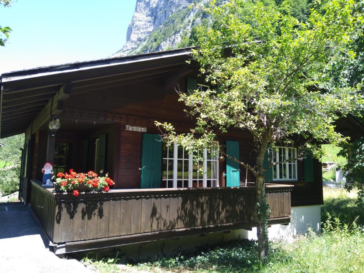 Ferien Cottage Flueehblueemli Stechelberg Zewnętrze zdjęcie